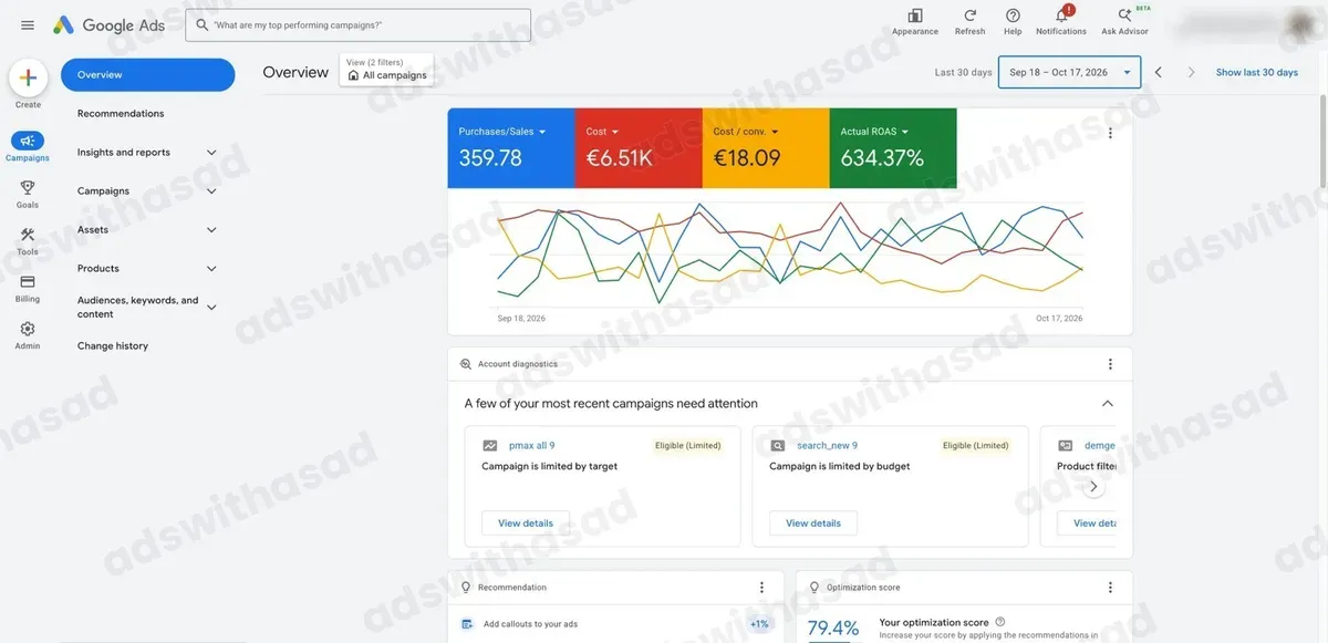 Google Ads dashboard: Google Ads for a Dutch Online Shop: 634% ROAS and 359 Purchases in 30 Days